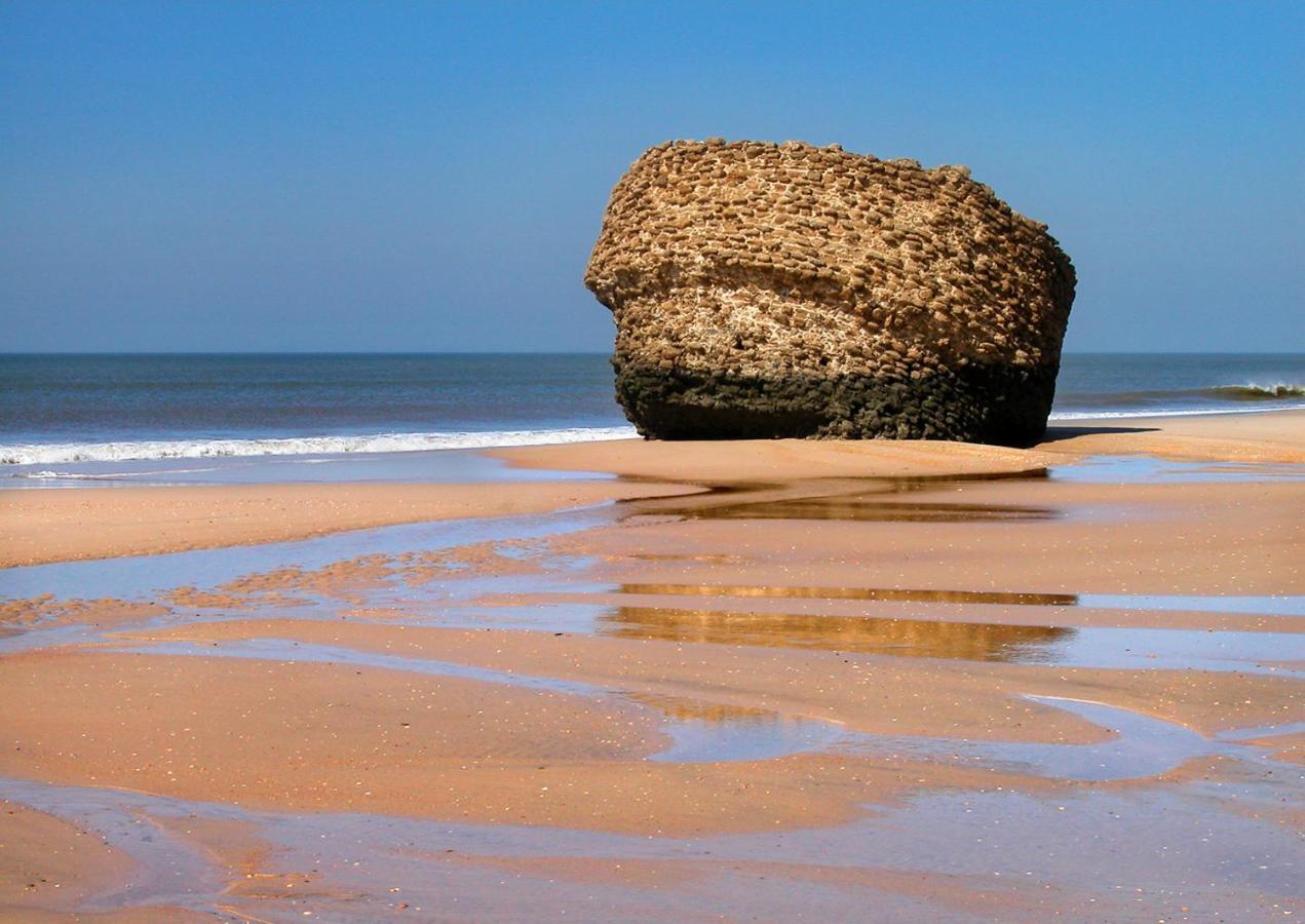Estudio Primera Linea De Playa Matalascañas Екстериор снимка